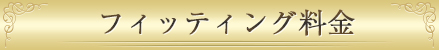 フィッティング料金